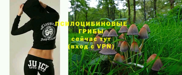 кокаин колумбия Дмитриев