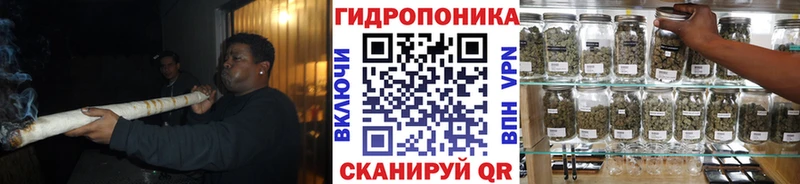 Купить  Балабаново  Канабис OG Kush 